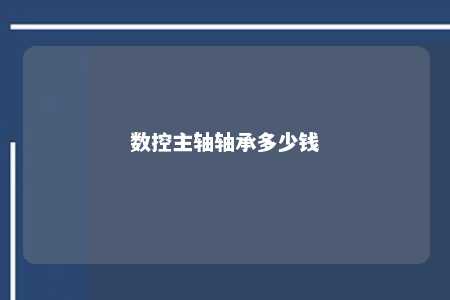 数控主轴轴承多少钱 