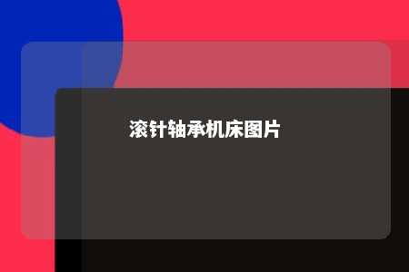 滚针轴承机床图片 
